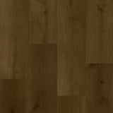 Mondego Oak