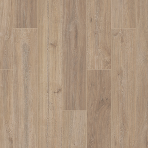 Khaki Oak