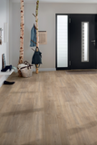 Khaki Oak