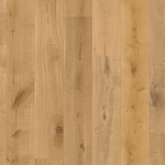 Monarch Oak