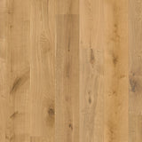 Monarch Oak