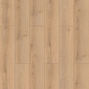 Sahra Oak
