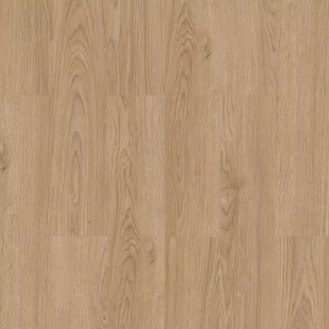 Savani Oak