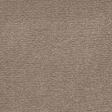 Arabica - Flooring Warehouse