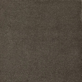Sensology Aural