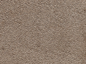 Lily - Flooring Warehouse
