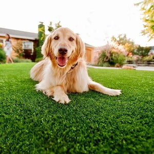 Petscape - Flooring Warehouse - Synsport