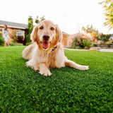 Petscape - Flooring Warehouse - Synsport